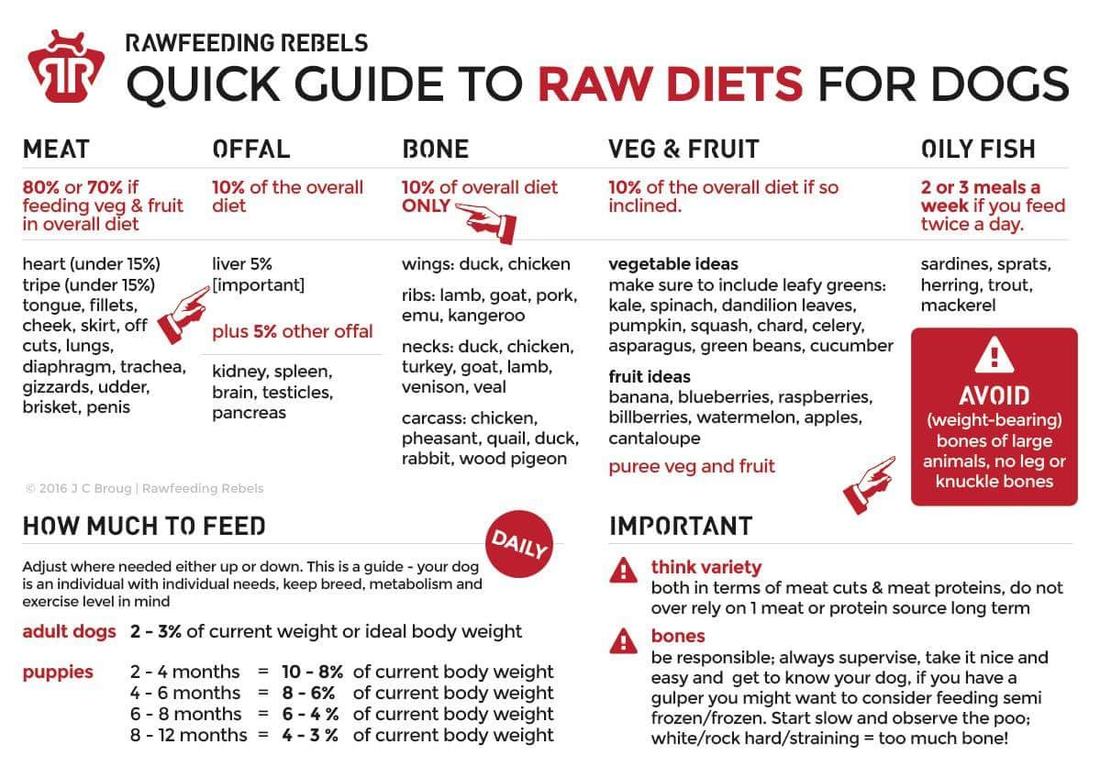 Raw Food Chart For Dogs